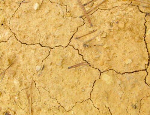 CANVIAR EL MODEL COM A RESPOSTA A LA CRISI CLIMÀTICA